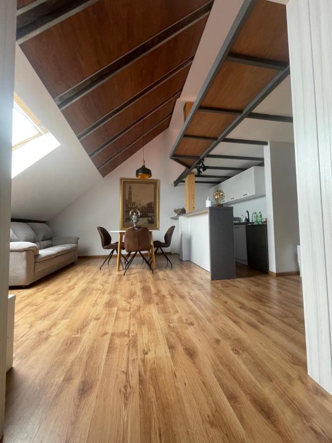 Amazing Savoya Nr1 Loft Old City Center Self Check-In Timisoara Ngoại thất bức ảnh